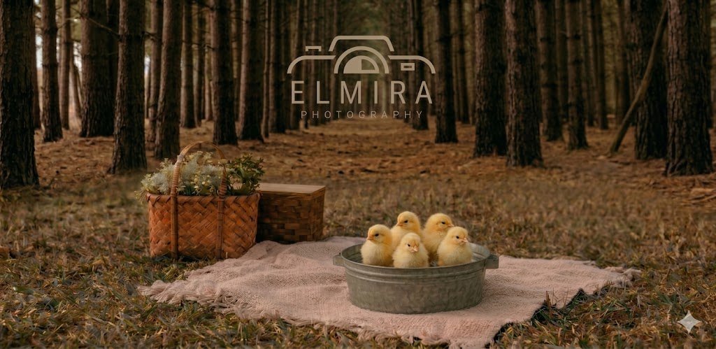 Spring Minis & Chicks at Woolwich Dam Forest