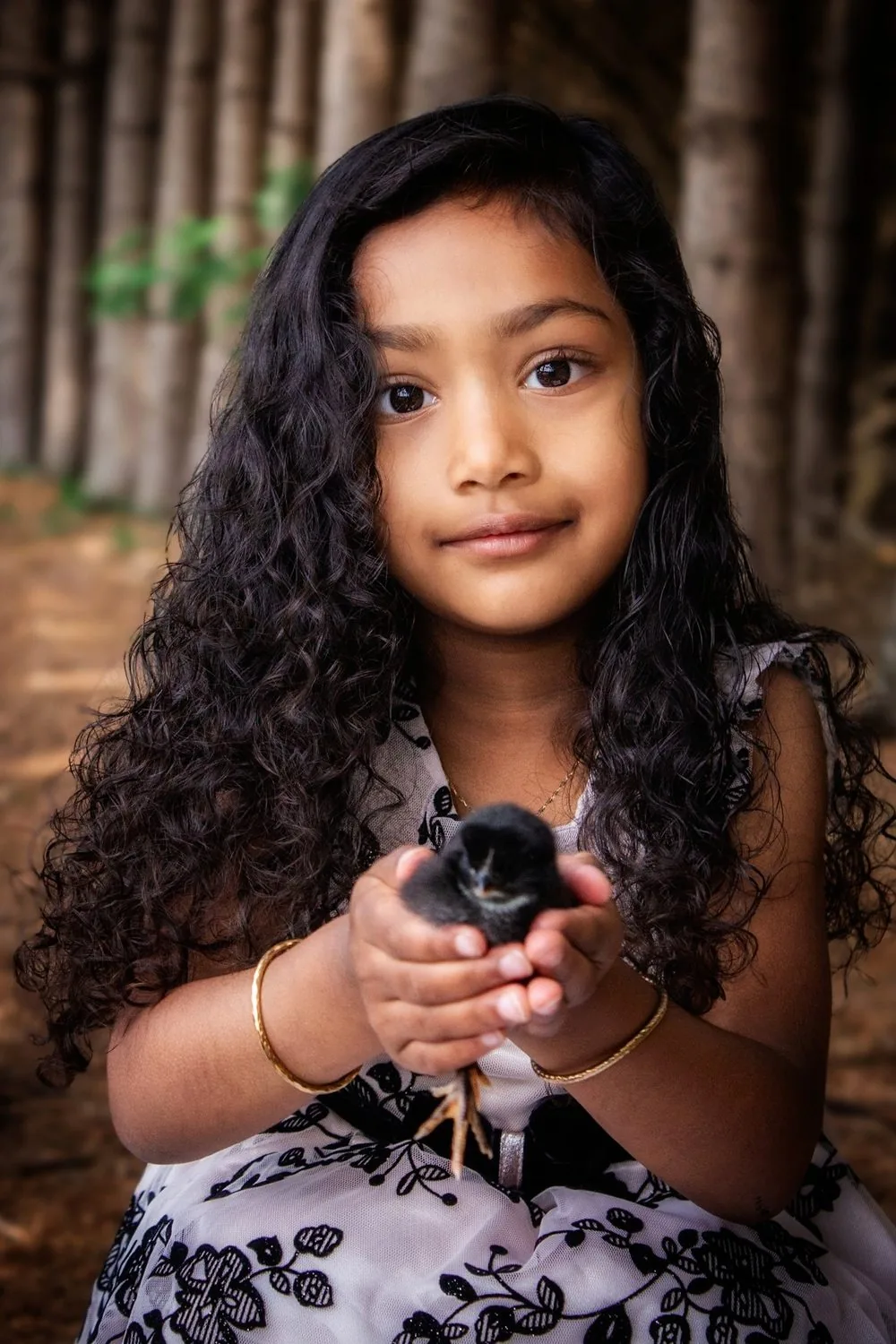 Girl with long dark curly hair holding a black baby chick in her hands - Spring Minis photography in Elmira, Ontario